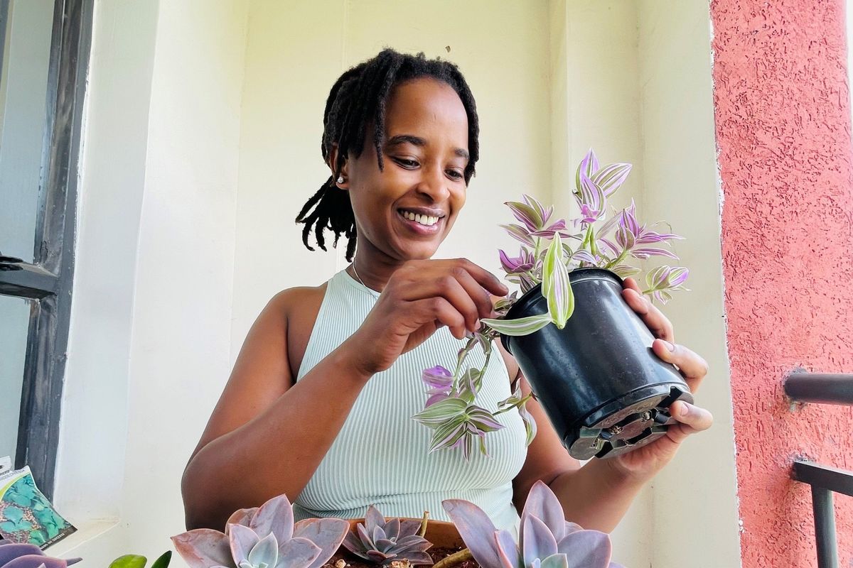 Wakisha Wazome repotting a striped plant on a balcony.